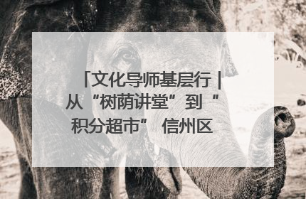 文化导师基层行｜从“树荫讲堂”到“积分超市” 信州区基层治理有实招