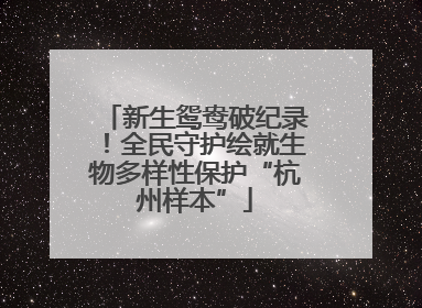 新生鸳鸯破纪录！全民守护绘就生物多样性保护“杭州样本”