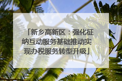 新乡高新区：强化征纳互动服务基础推动实现办税服务转型升级