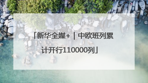 新华全媒+｜中欧班列累计开行110000列
