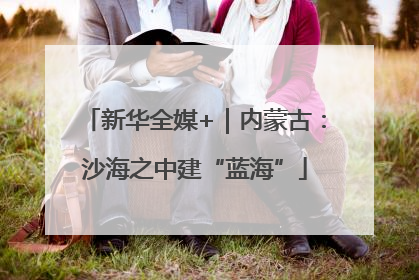 新华全媒+｜内蒙古：沙海之中建“蓝海”