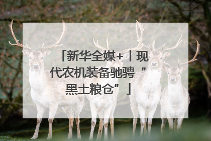新华全媒+丨现代农机装备驰骋“黑土粮仓”