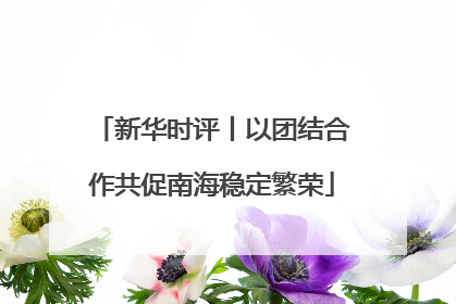 新华时评丨以团结合作共促南海稳定繁荣
