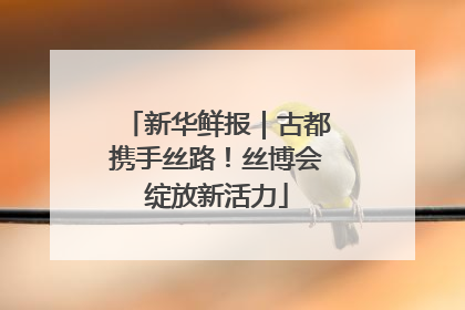 新华鲜报｜古都携手丝路！丝博会绽放新活力