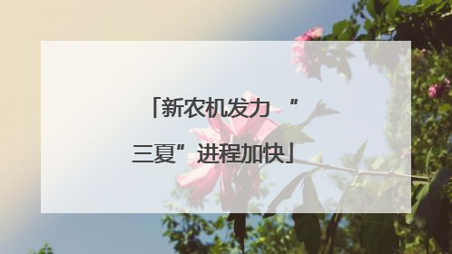 新农机发力 “三夏”进程加快