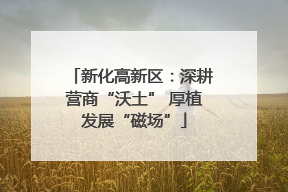 新化高新区：深耕营商“沃土” 厚植发展“磁场”