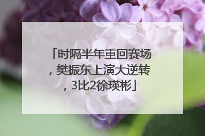 时隔半年重回赛场，樊振东上演大逆转，3比2徐瑛彬