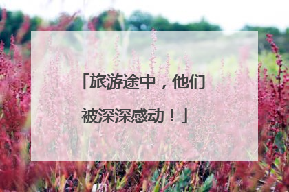 旅游途中，他们被深深感动！