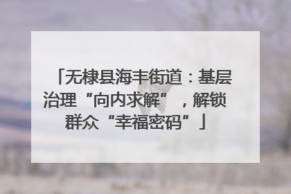 无棣县海丰街道：基层治理“向内求解”，解锁群众“幸福密码”