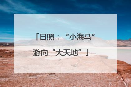 日照：“小海马”游向“大天地”