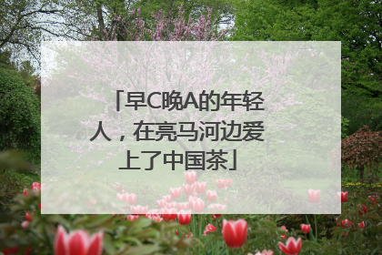 早C晚A的年轻人，在亮马河边爱上了中国茶