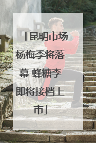 昆明市场杨梅季将落幕 蜂糖李即将接档上市