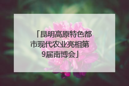 昆明高原特色都市现代农业亮相第9届南博会