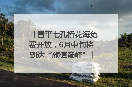 昌平七孔桥花海免费开放，6月中旬将到达“颜值巅峰”