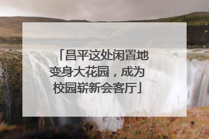 昌平这处闲置地变身大花园，成为校园崭新会客厅