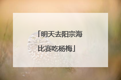 明天去阳宗海比赛吃杨梅