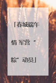春城端午情 军营“粽”动员