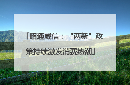 昭通威信：“两新”政策持续激发消费热潮