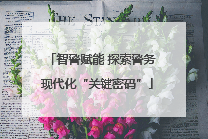 智警赋能 探索警务现代化“关键密码”