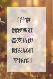 普京：俄罗斯准备支持伊朗发展和平核能