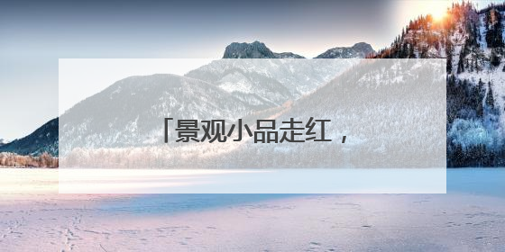 景观小品走红，临沭柳编藤编产业成文旅“新宠”