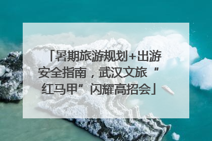 暑期旅游规划+出游安全指南，武汉文旅“红马甲”闪耀高招会