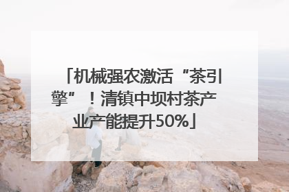 机械强农激活“茶引擎”！清镇中坝村茶产业产能提升50%