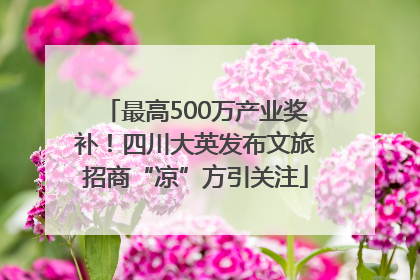 最高500万产业奖补！四川大英发布文旅招商“凉”方引关注