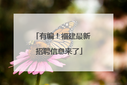 有编！福建最新招聘信息来了