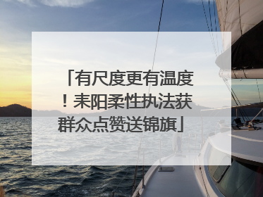 有尺度更有温度！耒阳柔性执法获群众点赞送锦旗