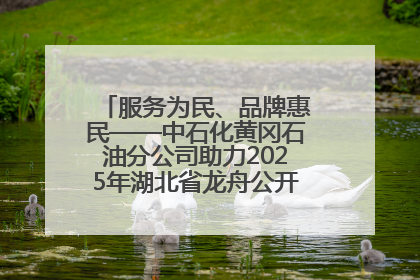 服务为民、品牌惠民——中石化黄冈石油分公司助力2025年湖北省龙舟公开赛（黄冈站）