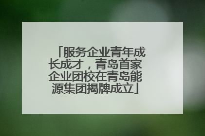 服务企业青年成长成才，青岛首家企业团校在青岛能源集团揭牌成立