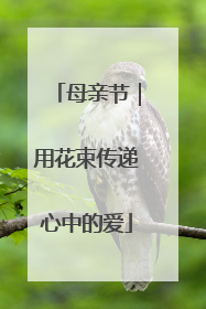 母亲节｜用花束传递心中的爱