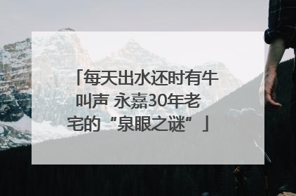 每天出水还时有牛叫声 永嘉30年老宅的“泉眼之谜”