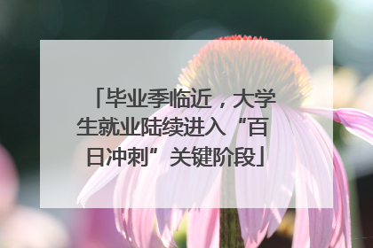 毕业季临近，大学生就业陆续进入“百日冲刺”关键阶段