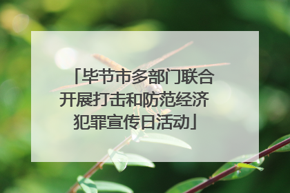 毕节市多部门联合开展打击和防范经济犯罪宣传日活动