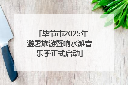 毕节市2025年避暑旅游暨响水滩音乐季正式启动