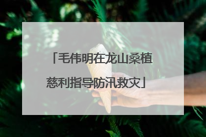 毛伟明在龙山桑植慈利指导防汛救灾