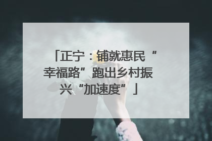 正宁：铺就惠民“幸福路”跑出乡村振兴“加速度”