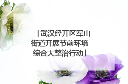 武汉经开区军山街道开展节前环境综合大整治行动