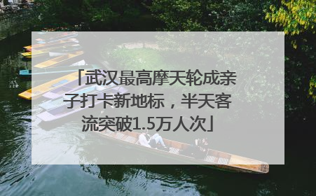 武汉最高摩天轮成亲子打卡新地标，半天客流突破1.5万人次