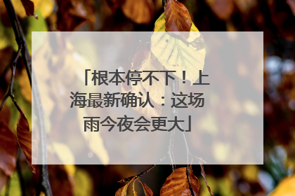 根本停不下！上海最新确认：这场雨今夜会更大