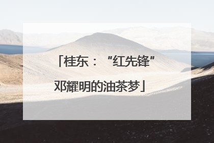 桂东：“红先锋”邓耀明的油茶梦