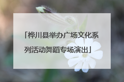 桦川县举办广场文化系列活动舞蹈专场演出