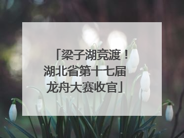 梁子湖竞渡！湖北省第十七届龙舟大赛收官