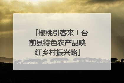 樱桃引客来！台前县特色农产品映红乡村振兴路