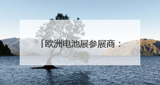 欧洲电池展参展商：美关税政策不确定性给企业投资造成混乱