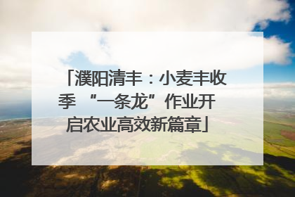 濮阳清丰：小麦丰收季 “一条龙”作业开启农业高效新篇章