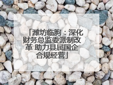 潍坊临朐：深化财务总监委派制改革 助力县属国企合规经营