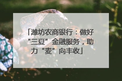 潍坊农商银行：做好“三夏”金融服务，助力“麦”向丰收
